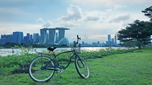 Image black and white bicycle on green grass field near body of water during daytime