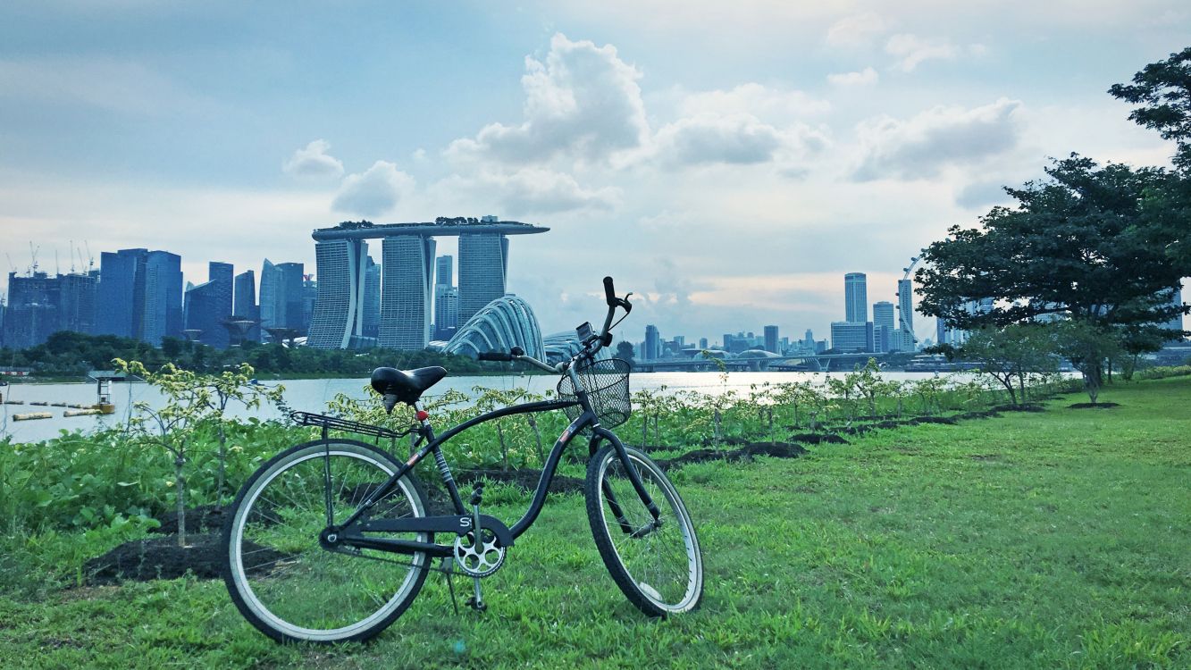 black and white bicycle on green grass field near body of water during daytime