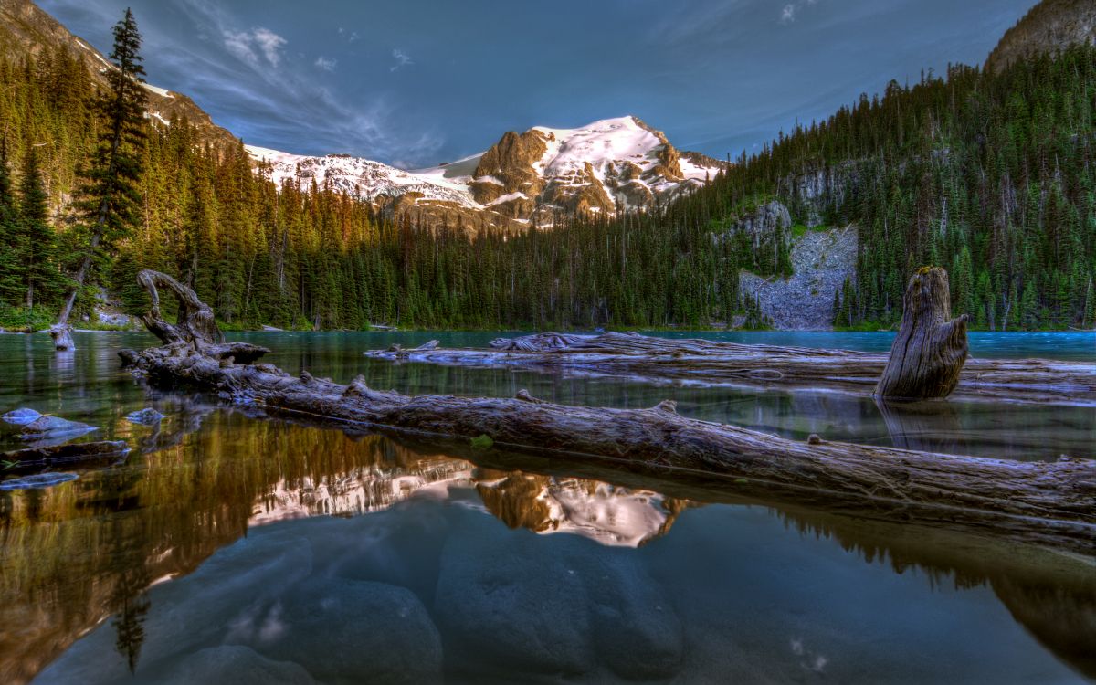 green pine trees near lake and snow covered mountain during daytime