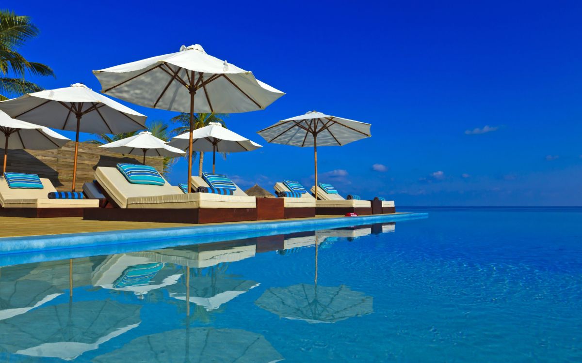 brown and white umbrella on blue water