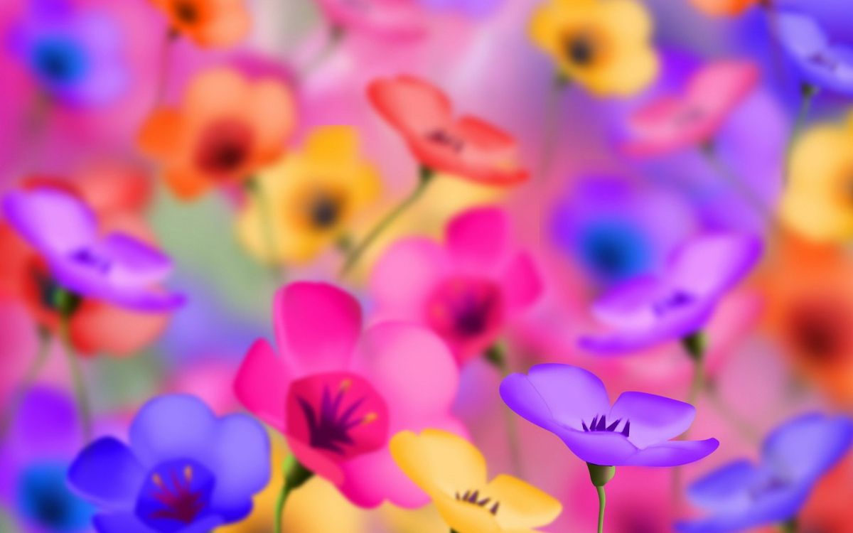 Pétales de Fleurs Violettes et Jaunes. Wallpaper in 1920x1200 Resolution