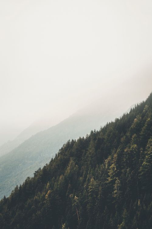 mountainous landforms, natural environment, wilderness, cloud, tree