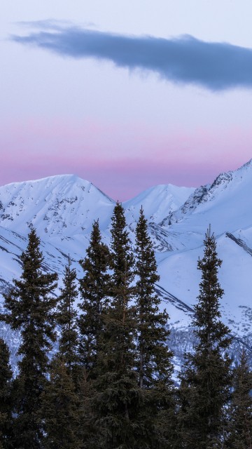 Image spruce, mountainous landforms, massif, spruce fir forests, mountain range