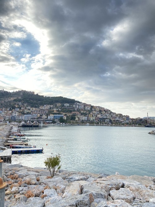 Image cloud, water, water resources, boat, plant