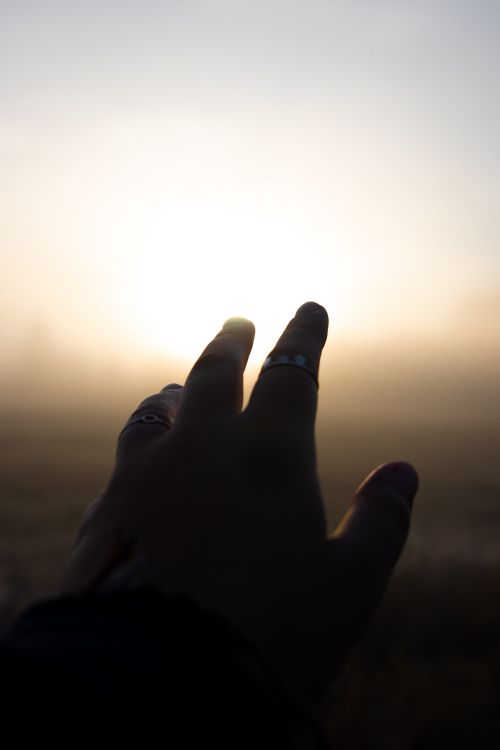 persons left hand doing peace sign