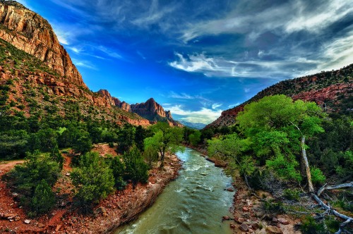 Image river between green trees under blue sky during daytime