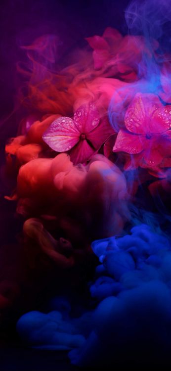 Huawei Mate 30, Huawei Mate 20 Pro, Huawei, Android, Huawei Ascend. Wallpaper in 1080x2340 Resolution