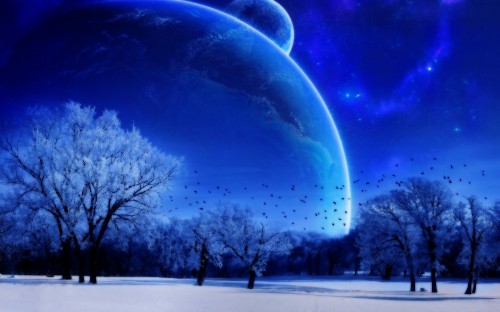 Image bare trees under blue sky and moon