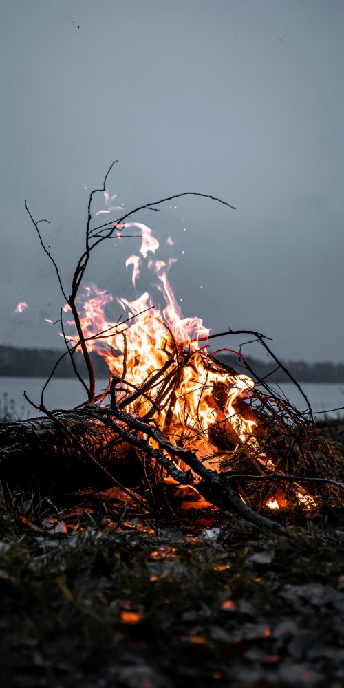 Image imbolc blessings, imbolc, ritual, ant macandrew, twig