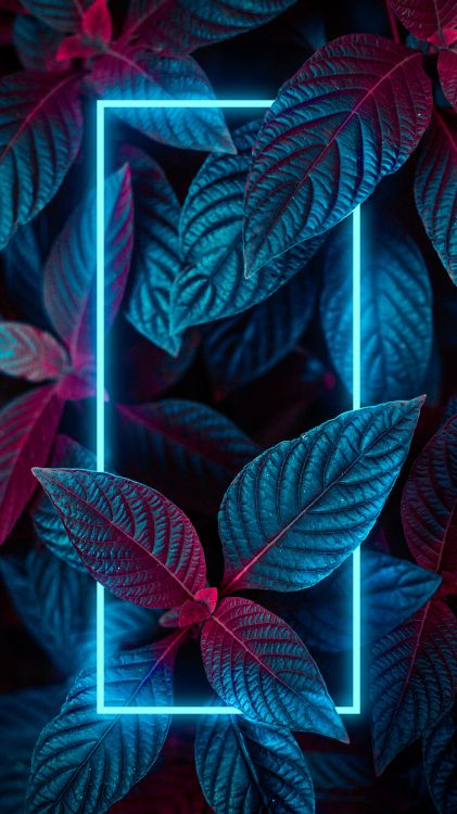 Free and customizable plant wallpaper templates