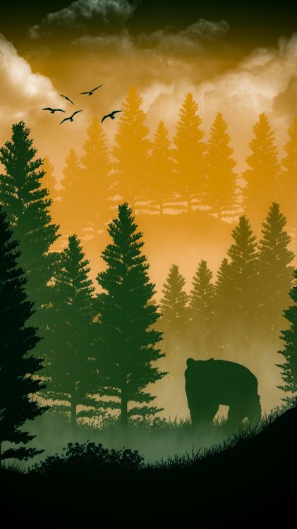 Naturaleza, Ambiente, Verde, Paisaje Natural, Ave. Wallpaper in 2160x3840 Resolution