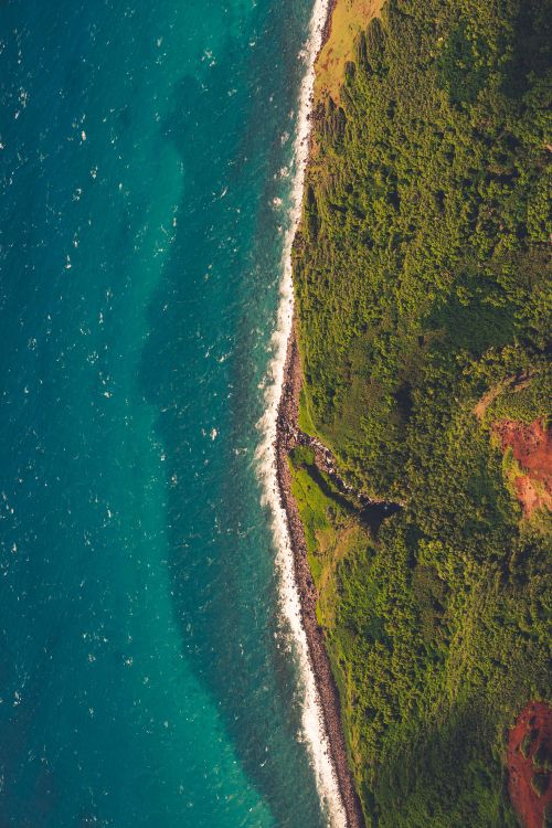 Playa, Mar, Oceano, Naturaleza, Agua. Wallpaper in 4553x6822 Resolution