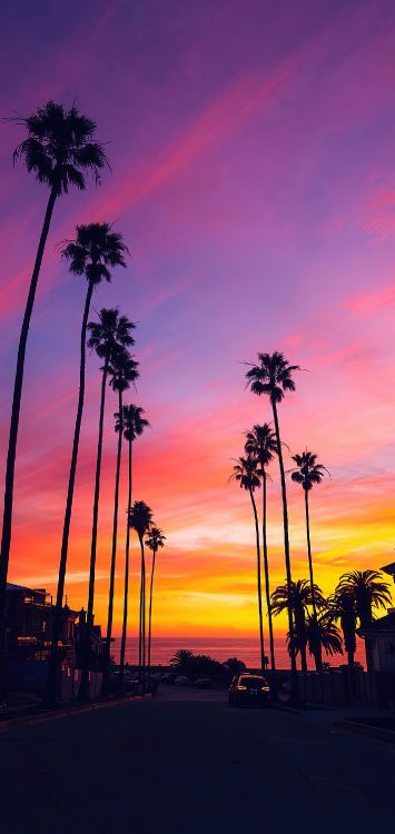 Palmera, Ambiente, Afterglow, Naranja, Atardecer. Wallpaper in 1420x3000 Resolution