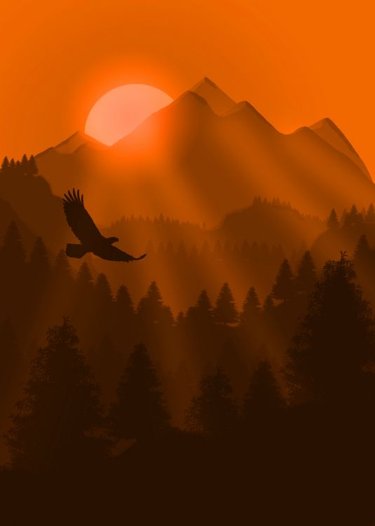 Natur, Orange, Sonnenaufgang, Naturlandschaft, Morgen. Wallpaper in 1500x2100 Resolution