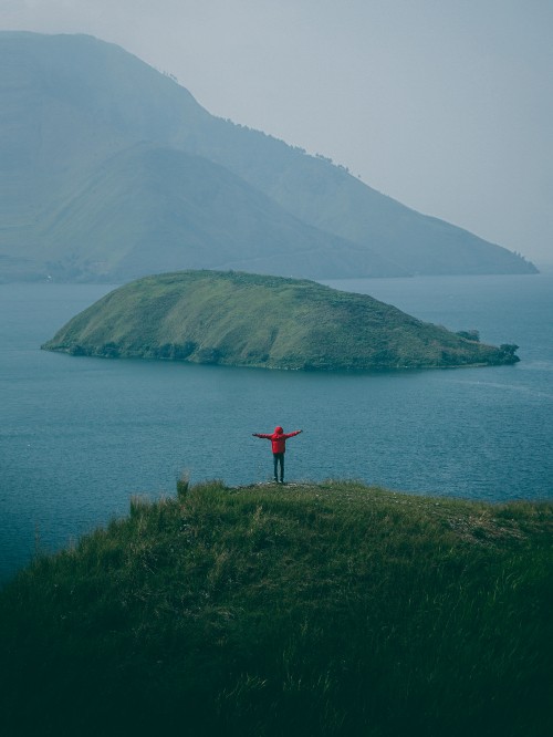 Image sea, green, coast, hill, mountain