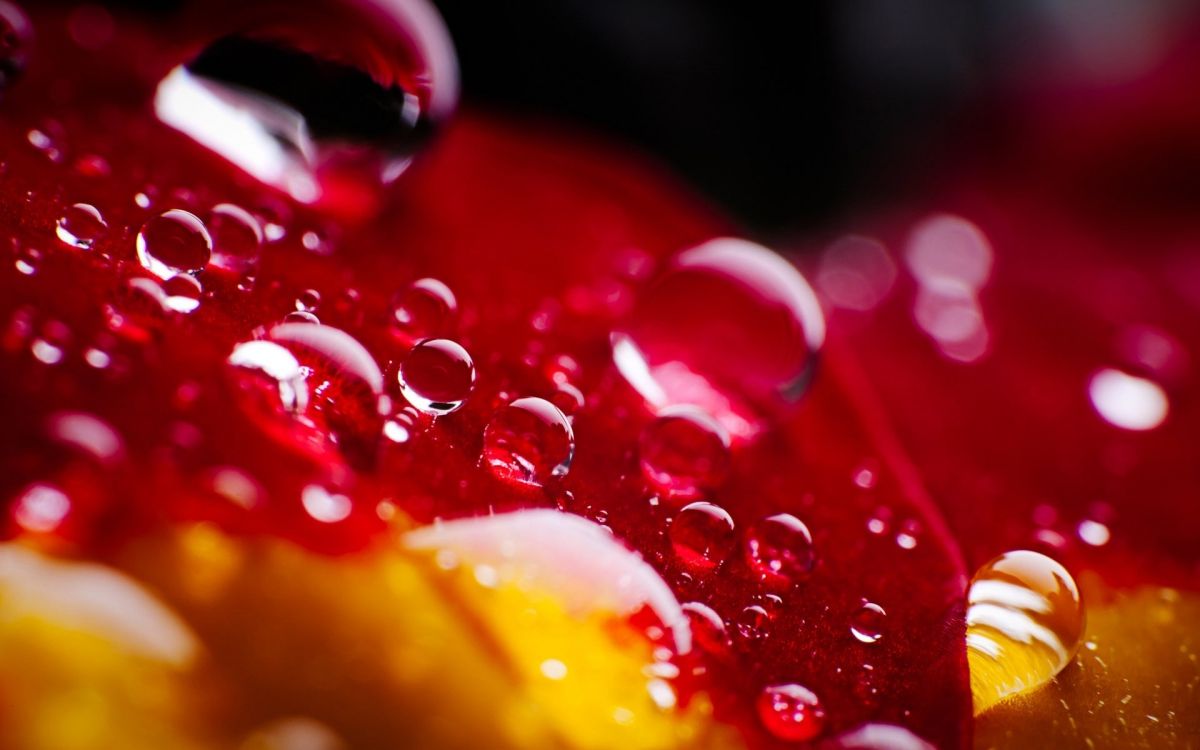 red and yellow heart shaped decor