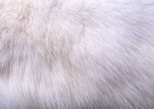 Image white fur textile on black textile