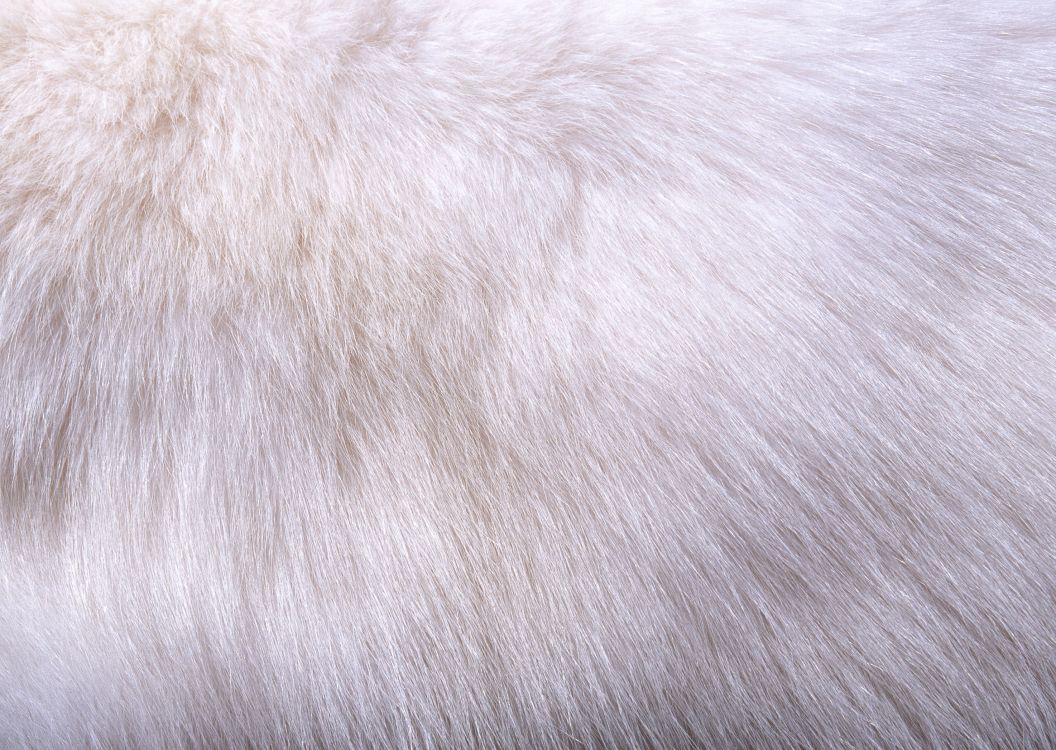 white fur textile on black textile