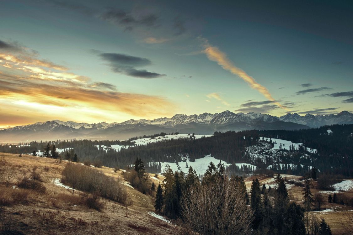 Arbres Verts et Montagnes Sous Ciel Bleu et Nuages Blancs Pendant la Journée. Wallpaper in 3600x2399 Resolution