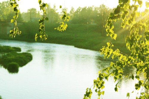 Image green grass field near lake during daytime