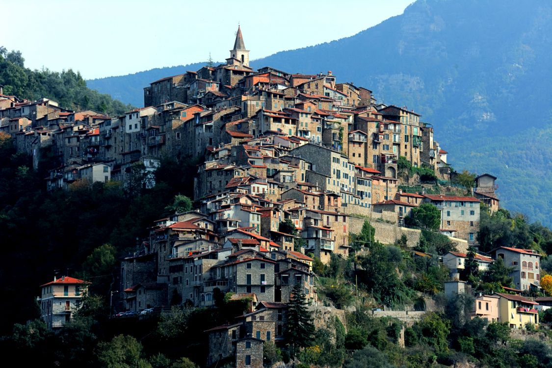 brown and white concrete houses on mountain