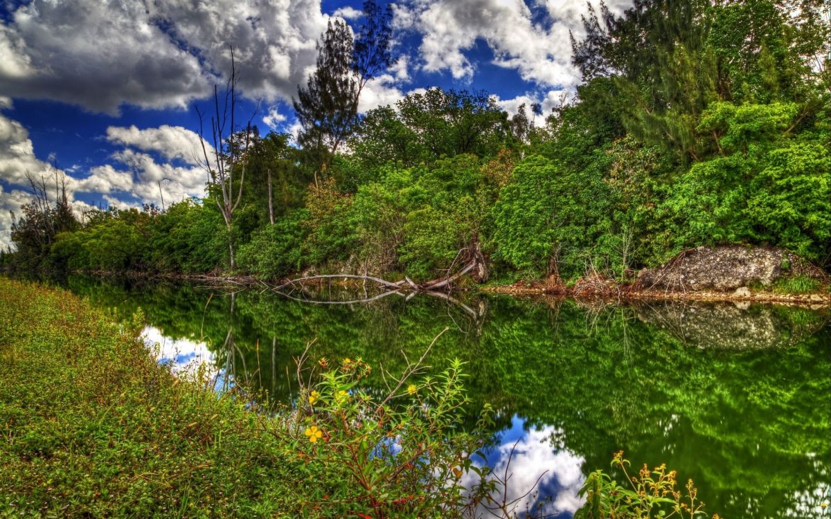 Grüne Bäume Neben Dem Fluss Unter Blauem Himmel Und Weißen Wolken Tagsüber. Wallpaper in 1920x1200 Resolution
