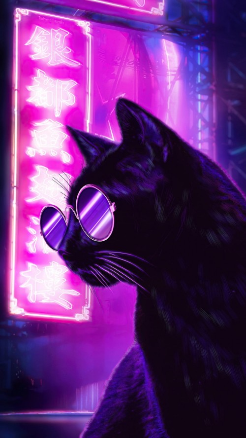 Image Aesthetics, purple, neon, blue, cat