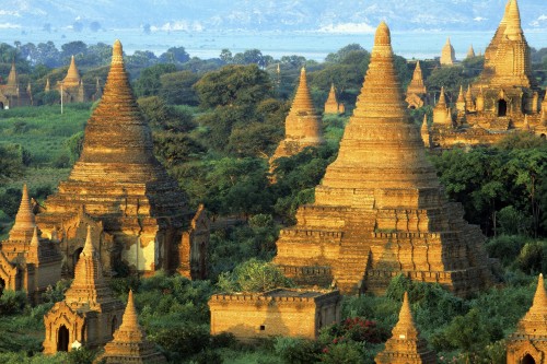 Image brown concrete temple surrounded by green trees during daytime