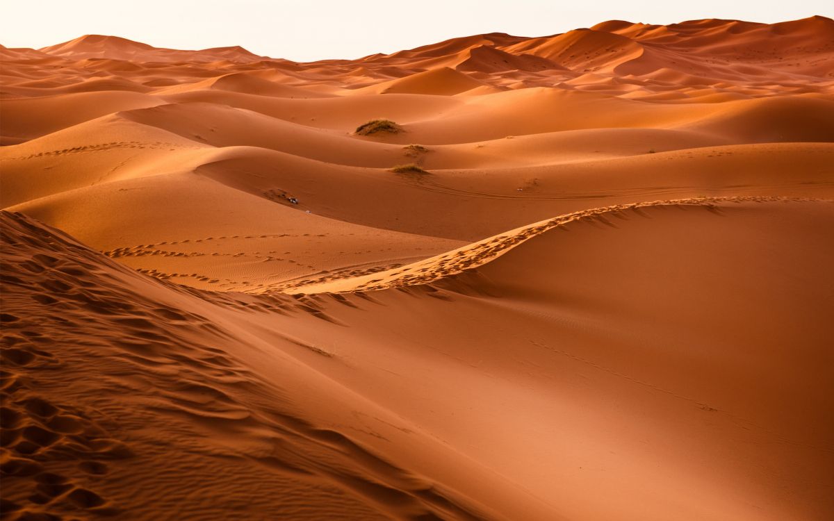 white sand under sunny sky