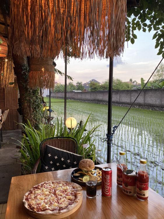 L'extérieur de la Structure, Eau, Biologie, Sciences, Cuisine. Wallpaper in 1536x2048 Resolution