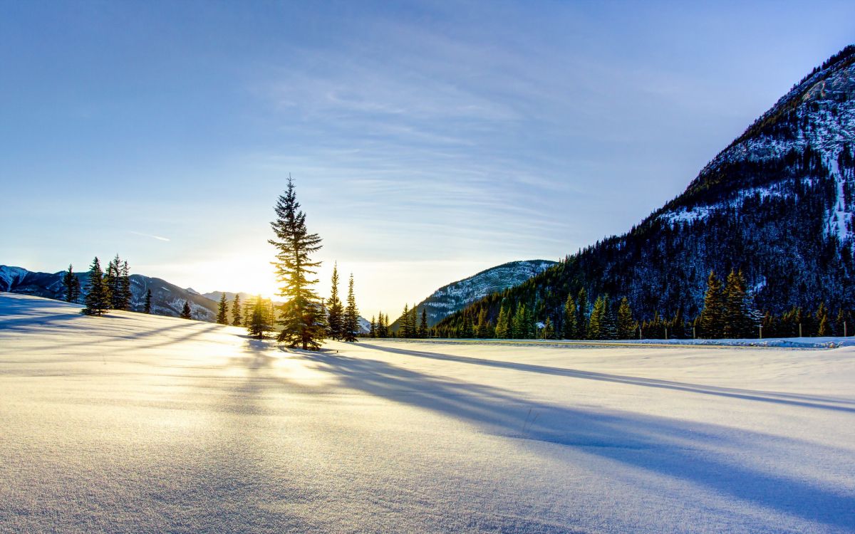 Carretera Cubierta de Nieve Cerca de Árboles y Montañas Durante el Día.. Wallpaper in 2560x1600 Resolution
