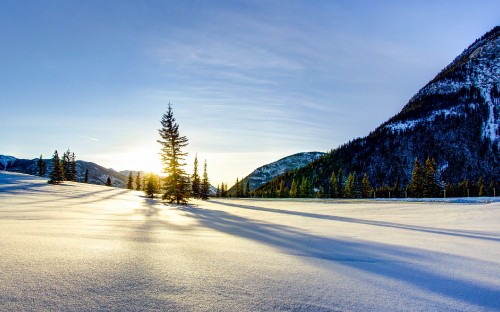 Image snow covered road near trees and mountain during daytime