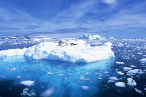 Image ice on water under cloudy sky