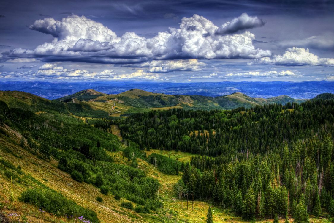 green trees on mountain under white clouds during daytime