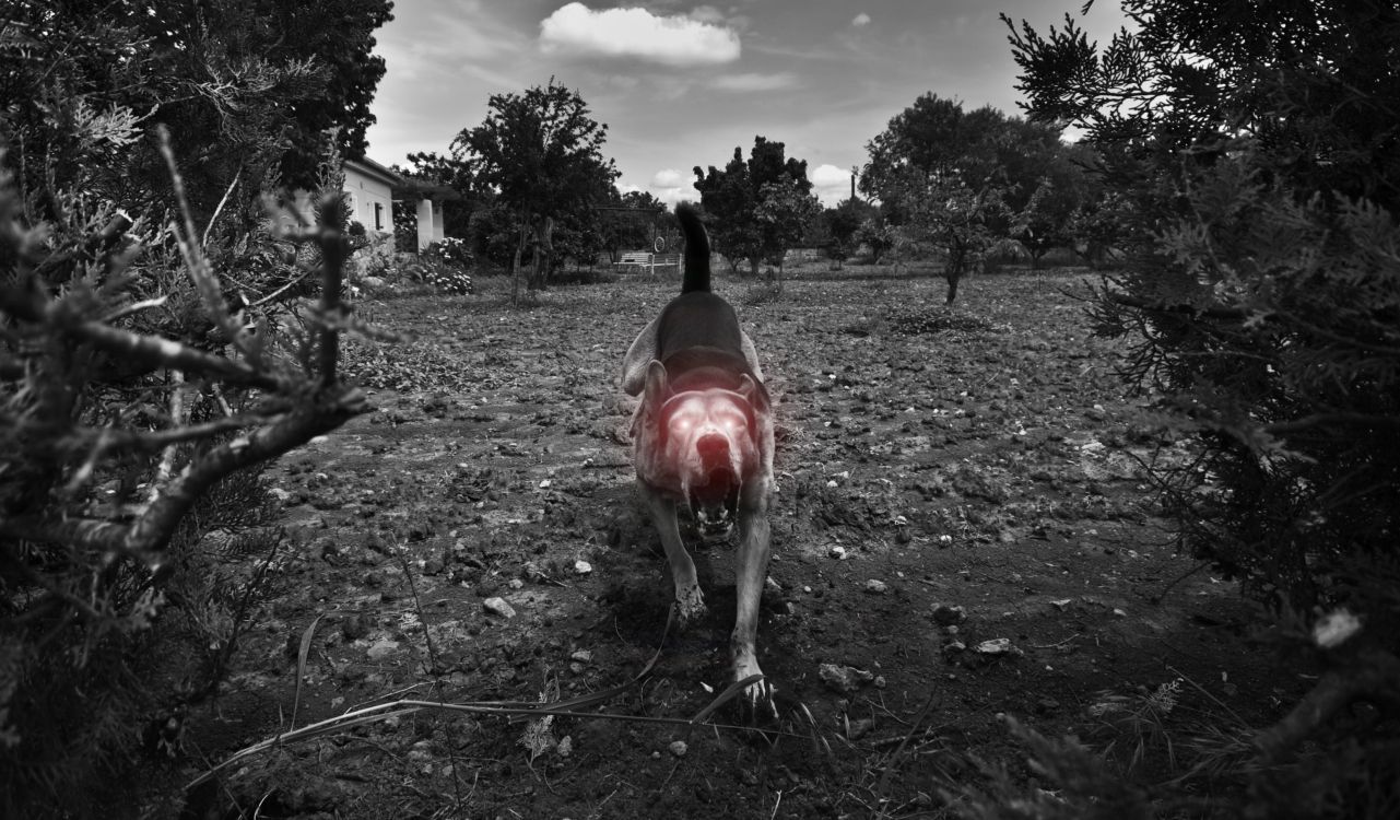 Person in Schwarzer Jacke, Die Tagsüber Auf Einer Grünen Wiese Steht. Wallpaper in 3685x2156 Resolution