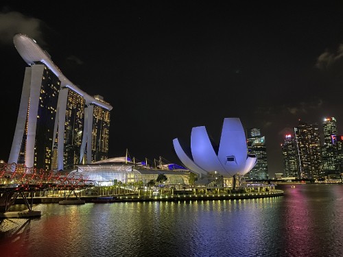 Image singapore, cityscape, Gardens by the Bay, night, metropolis