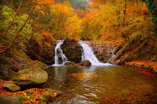 Image water falls in the middle of the forest