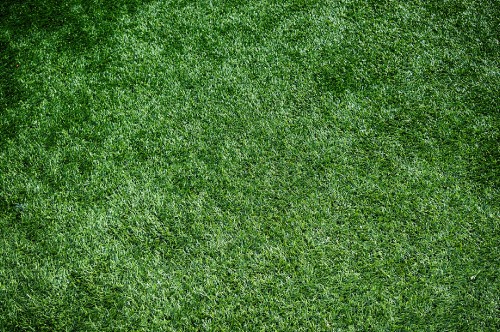 Image green grass field during daytime