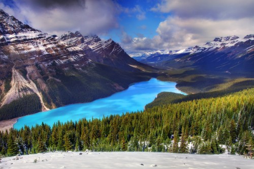 Image green pine trees near lake and mountains under blue sky during daytime