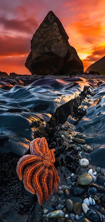 Luz, Montaña, Entorno Natural, Paisaje Natural, Cuerpo de Agua. Wallpaper in 1421x3000 Resolution