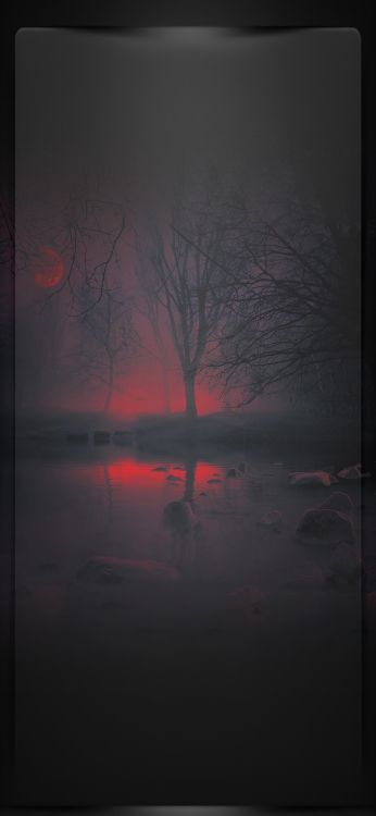 Reflexion, Visual Arts, Atmosphäre, Branch, Afterglow. Wallpaper in 1080x2340 Resolution