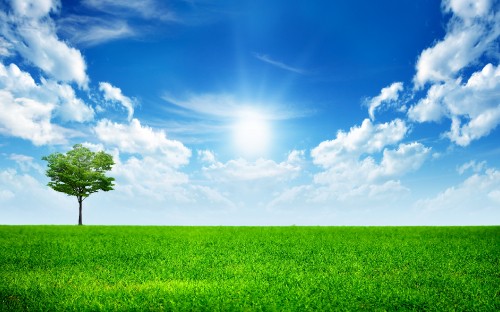 Image green, grassland, nature, daytime, cloud