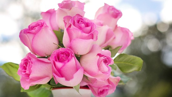Image rose, flower, flower bouquet, pink, floristry