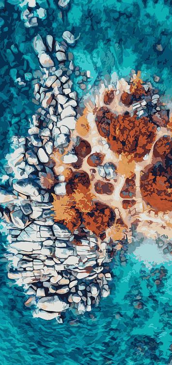 谷歌, Google Pixel 4, 像素4, 色彩, 水上 壁纸 1440x3040 允许