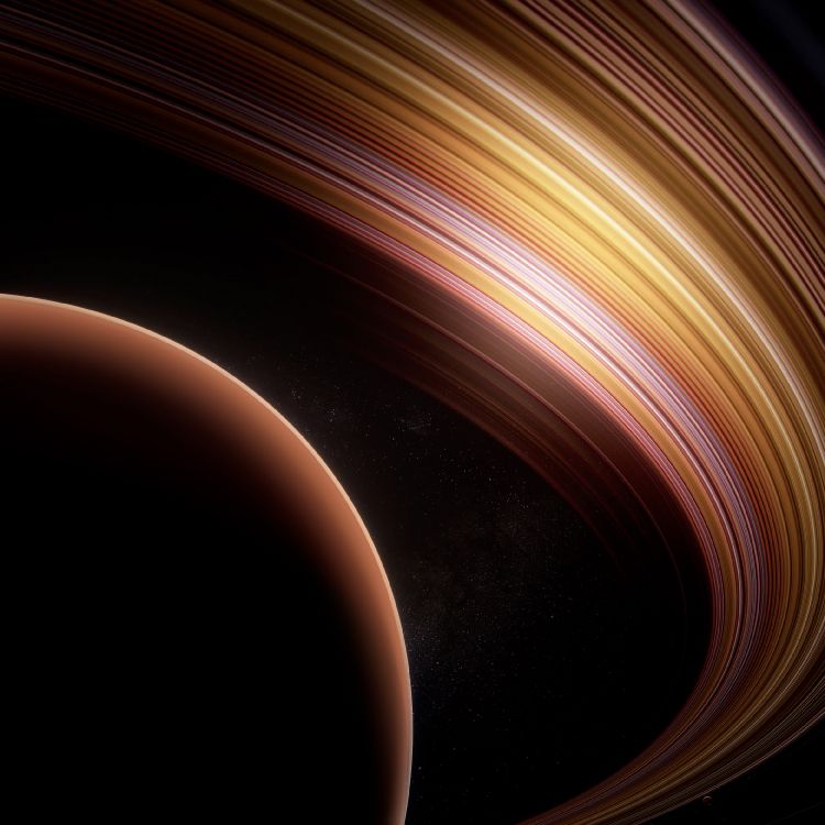 木, 棕色, 琥珀色, 和阴影的色彩, 圆圈 壁纸 2376x2376 允许