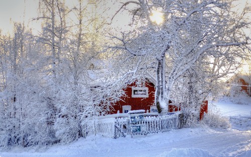 Image snow covered trees and houses during daytime