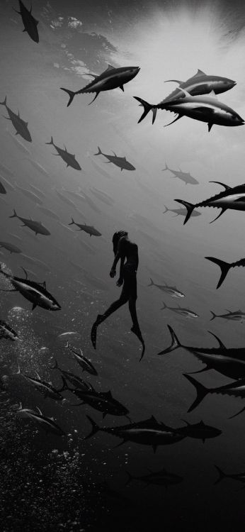 白色, 手势, 风格, 黑色和白色的, 翼 壁纸 1080x2340 允许