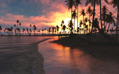 Image people on beach during sunset