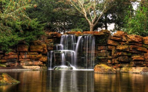 Image water falls in the middle of the forest