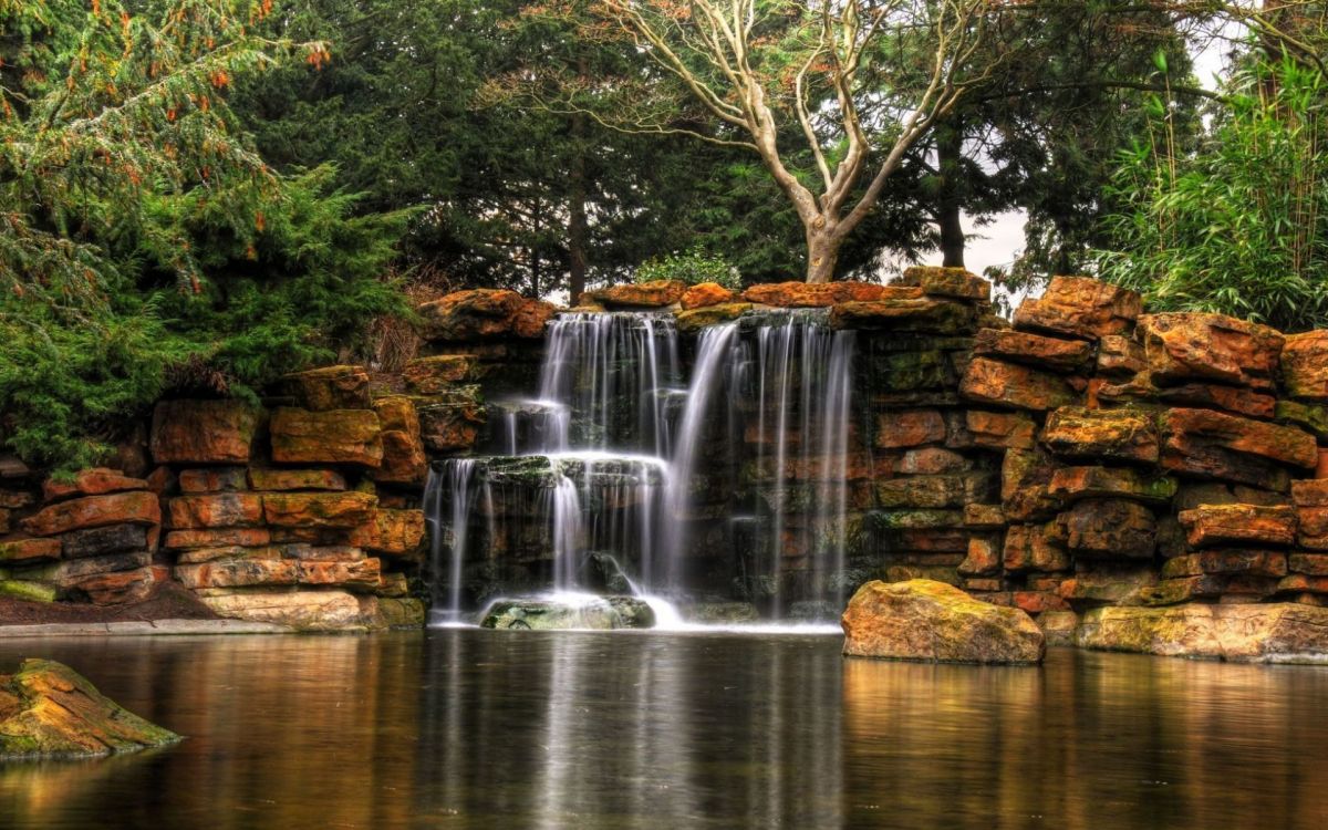 water falls in the middle of the forest